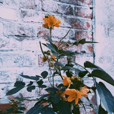 im电竞平台截图